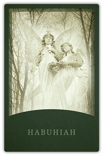 Angelic Tarot Card: Habuhiah