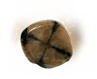 Angelic Stone: Chiastolite