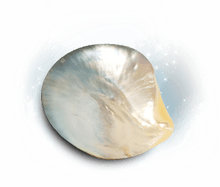 Angelic Stone: Nacre